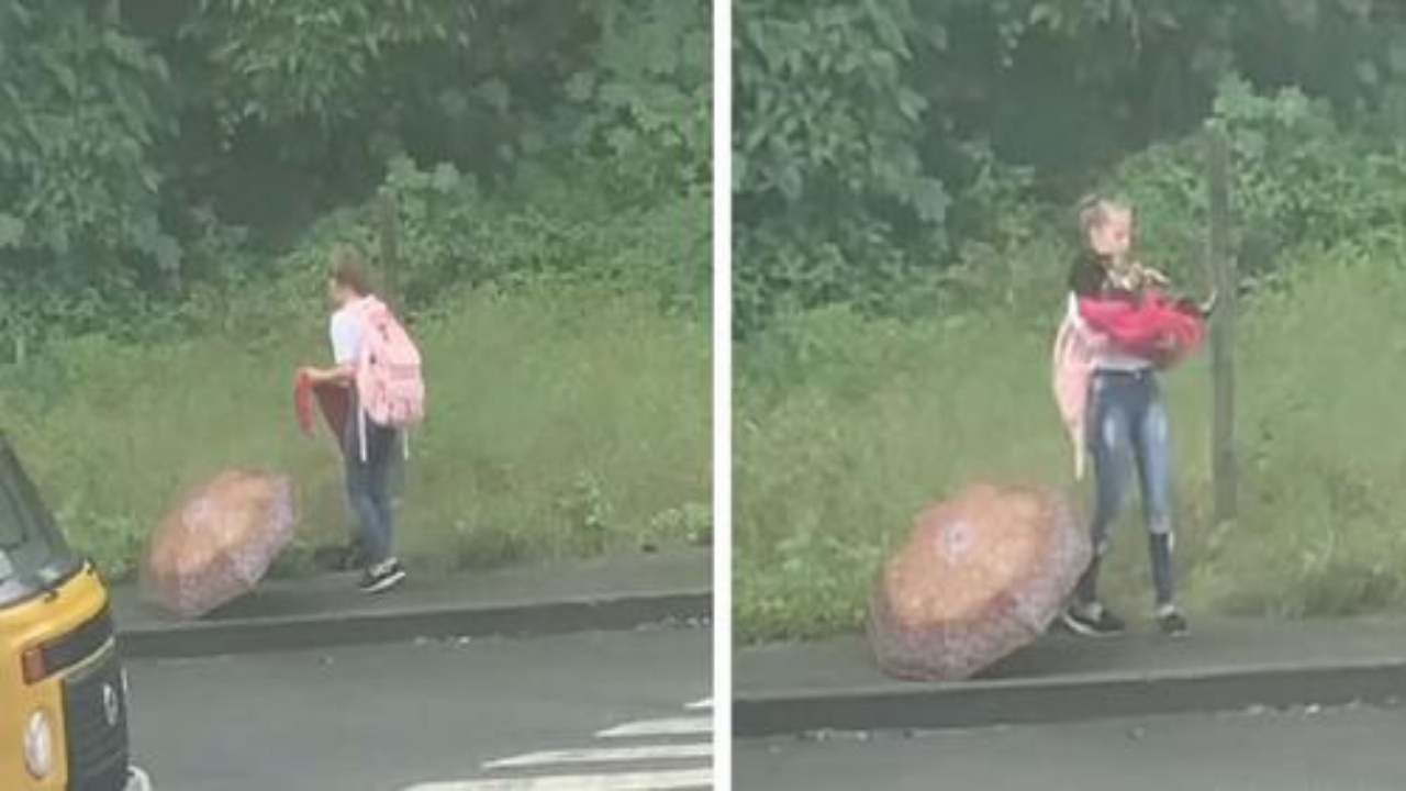 Una Bambina Trova Un Cane Randagio Sotto La Pioggia E Compie Un Gesto