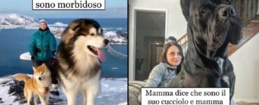 cani che crescendo sono diventati giganti