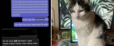 gatto non smette di mandare messaggi misteriosi ai colleghi della sua mamma