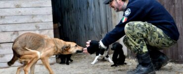 italiano e cane