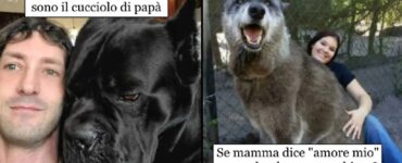 cani talmente grandi da far impallidire elefanti