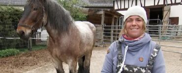 donna lavoro cavallo carburante