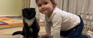 Una bambina bacia il suo gattino, amici speciali per la vita: il video è tenerissimo