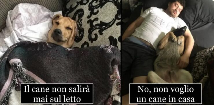 persone che vivono un'altra vita insieme cani