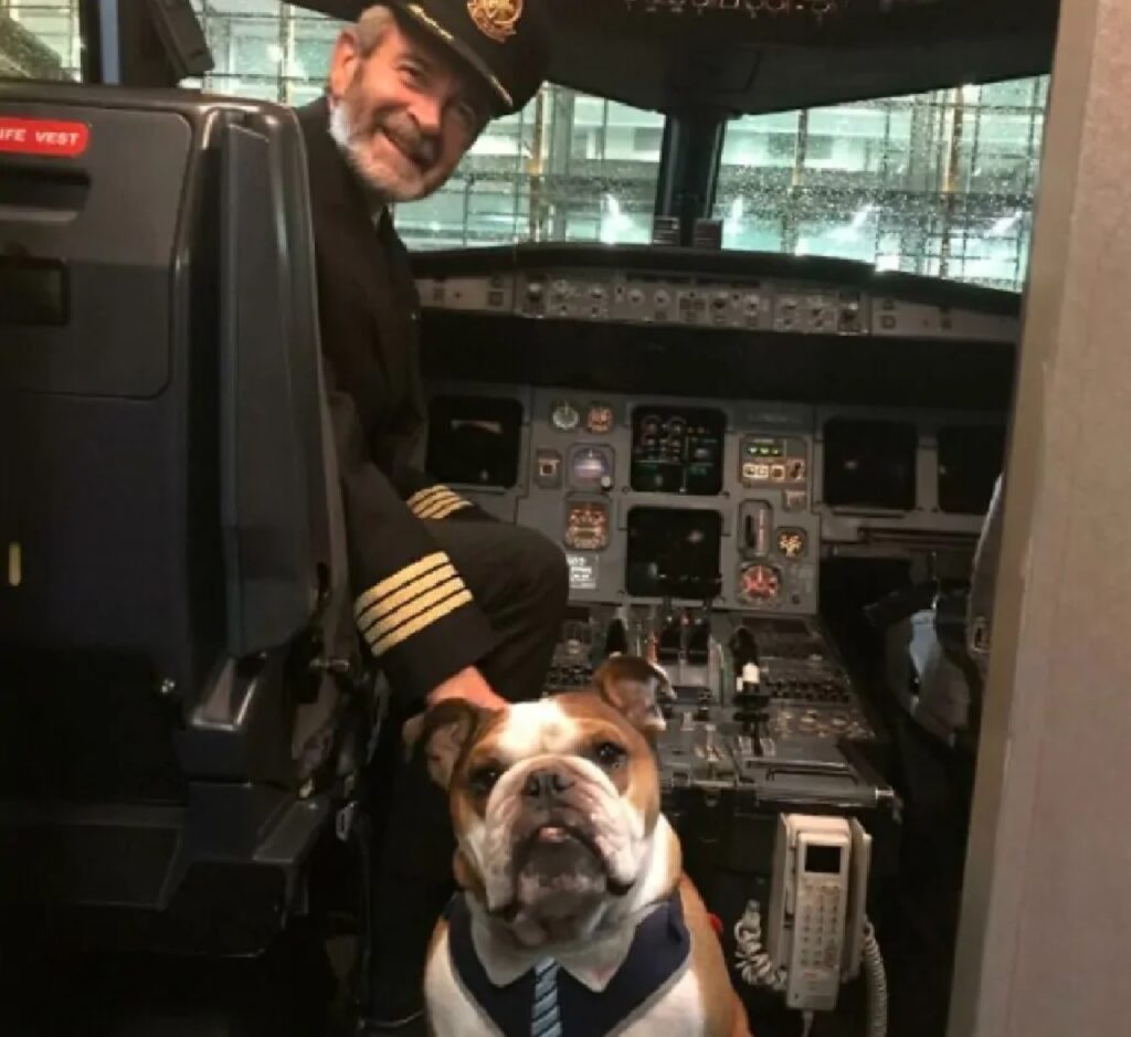 cane assistente di volo