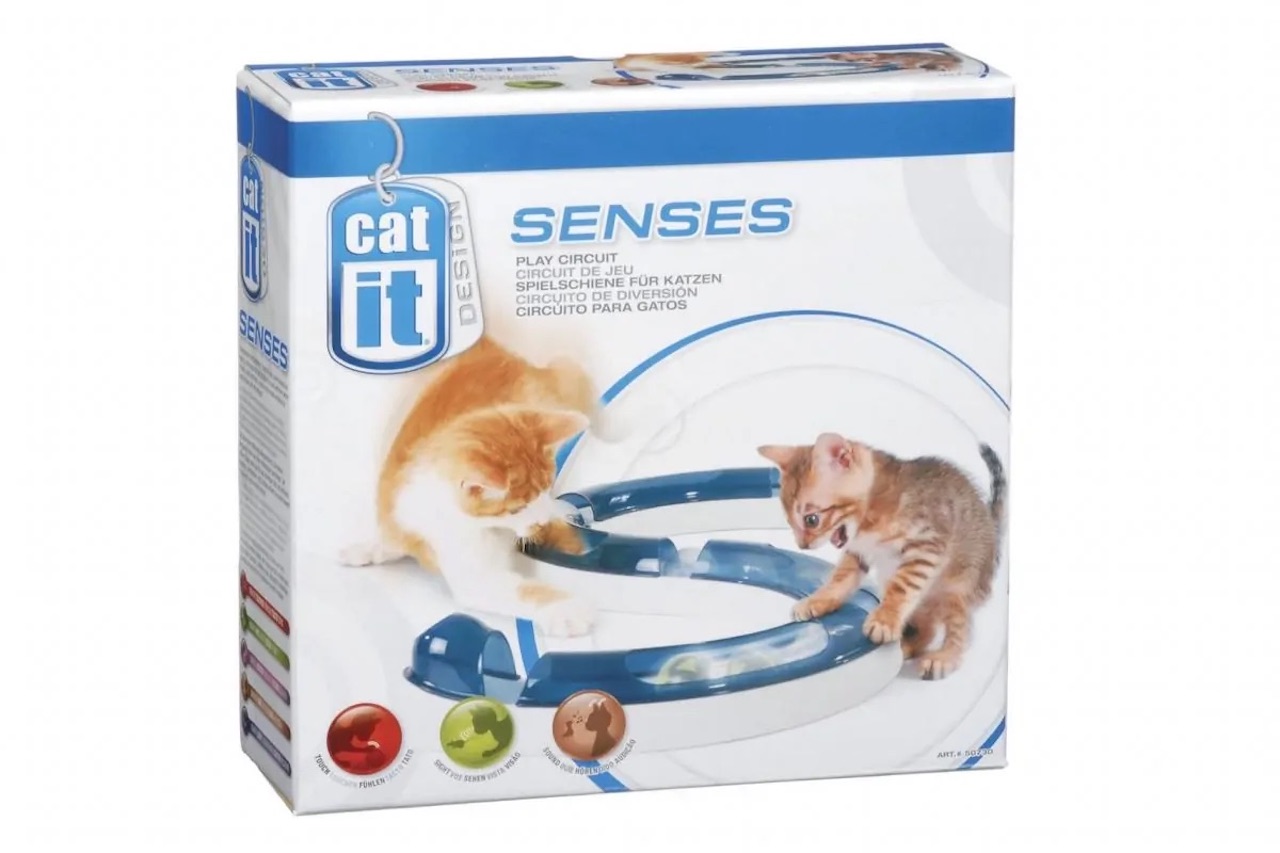 giochi gatto