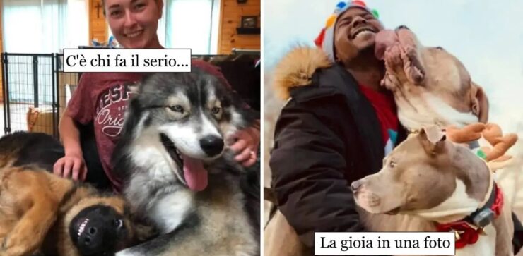 cani che non si stancano mai di stupire