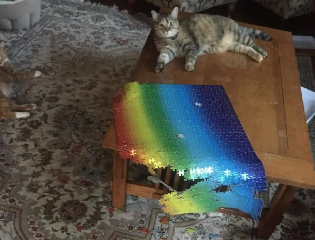 gatto rovescia il puzzle