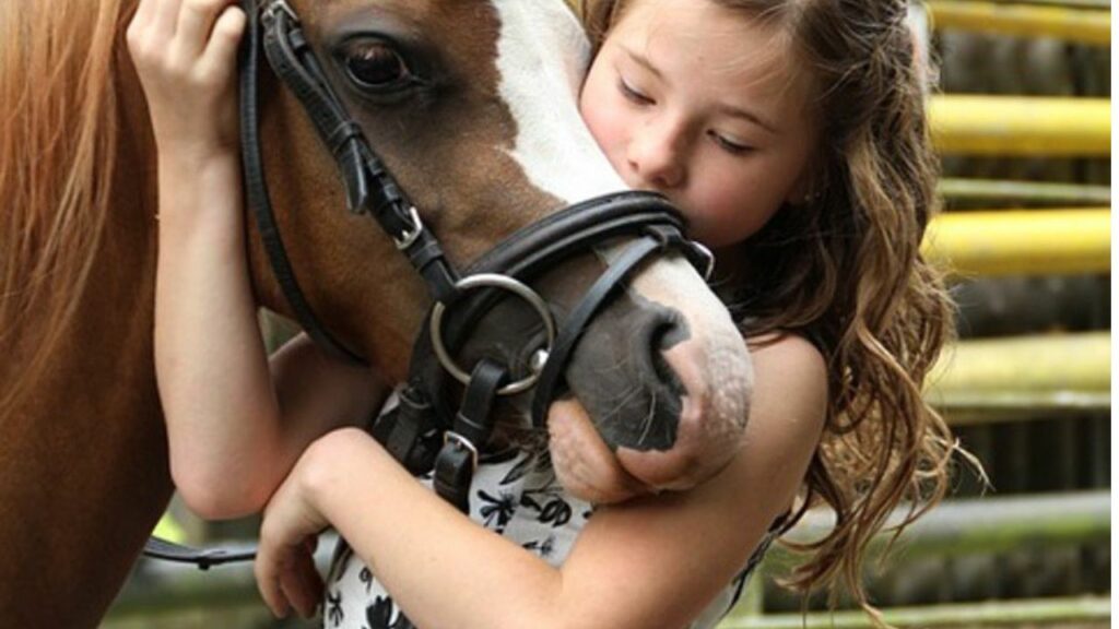 Giovane si dispera affianco al corpo del suo cavallo che è venuto a mancare: "non fa male solo la perdita di un cane"