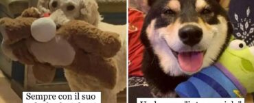 cani che rendono unico il natale