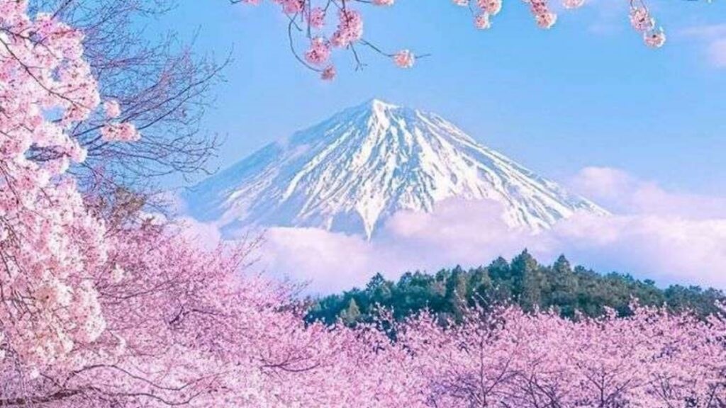 monte Fuji