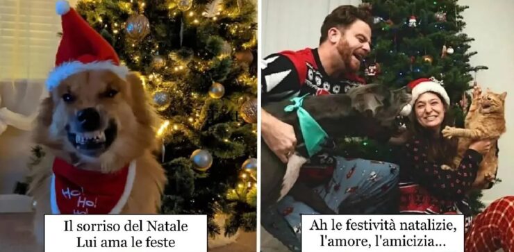 cani festeggiano come non avevano mai fatto