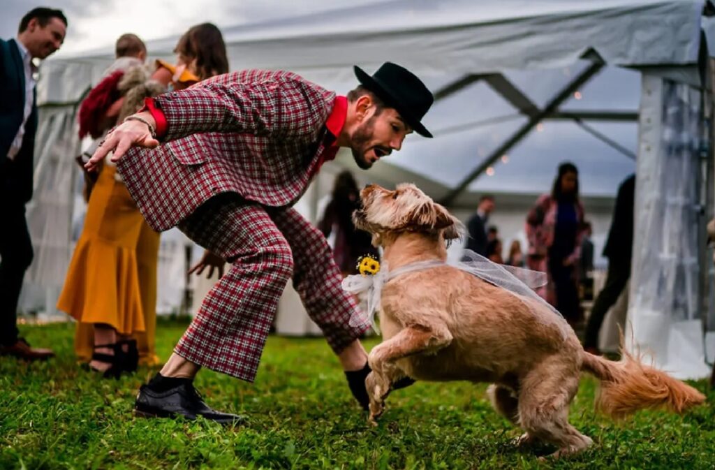 cane balla con sposo