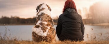 Cane e padrone