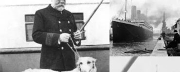 I cani sopravvissuti al naufragio del Titanic