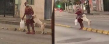 signora attraversa la strada con un cane