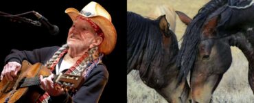 Willie Nelson e cavalli