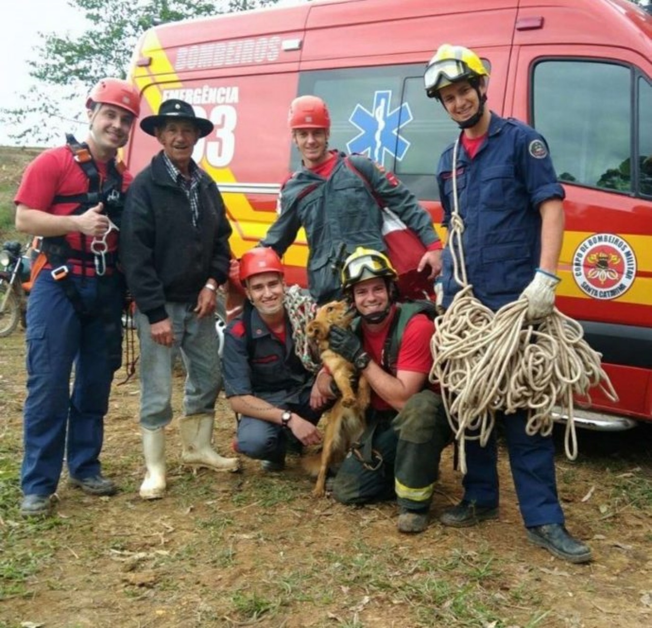 Cane cade dalla scogliera e lo salvano i vigili del fuoco