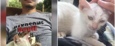 Ragazzo fa un pisolino al parco e trova un gatto sulle sue gambe