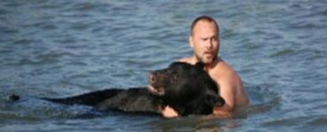 Orso in difficoltà in un lago