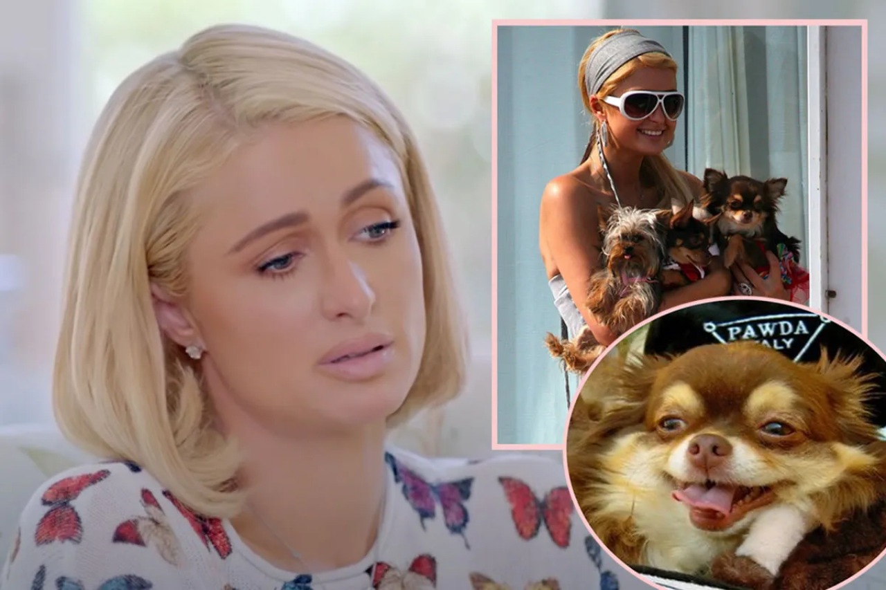 Paris Hilton dice addio al suo Chihuahua