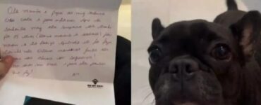 Bulldog Francese sospeso dall'asilo