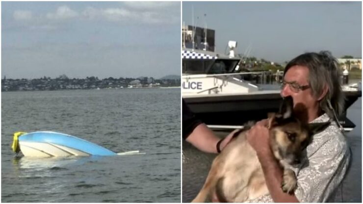 Cagnolino cade in acqua e resta a galla per 11 ore