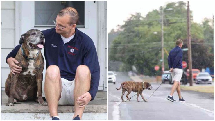 Cane con tumore fa la sua ultima passeggiata