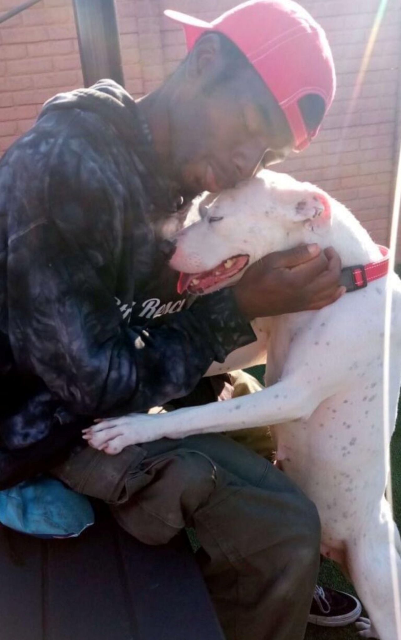 Cane in un cortile abbandonato partorisce 4 cuccioli