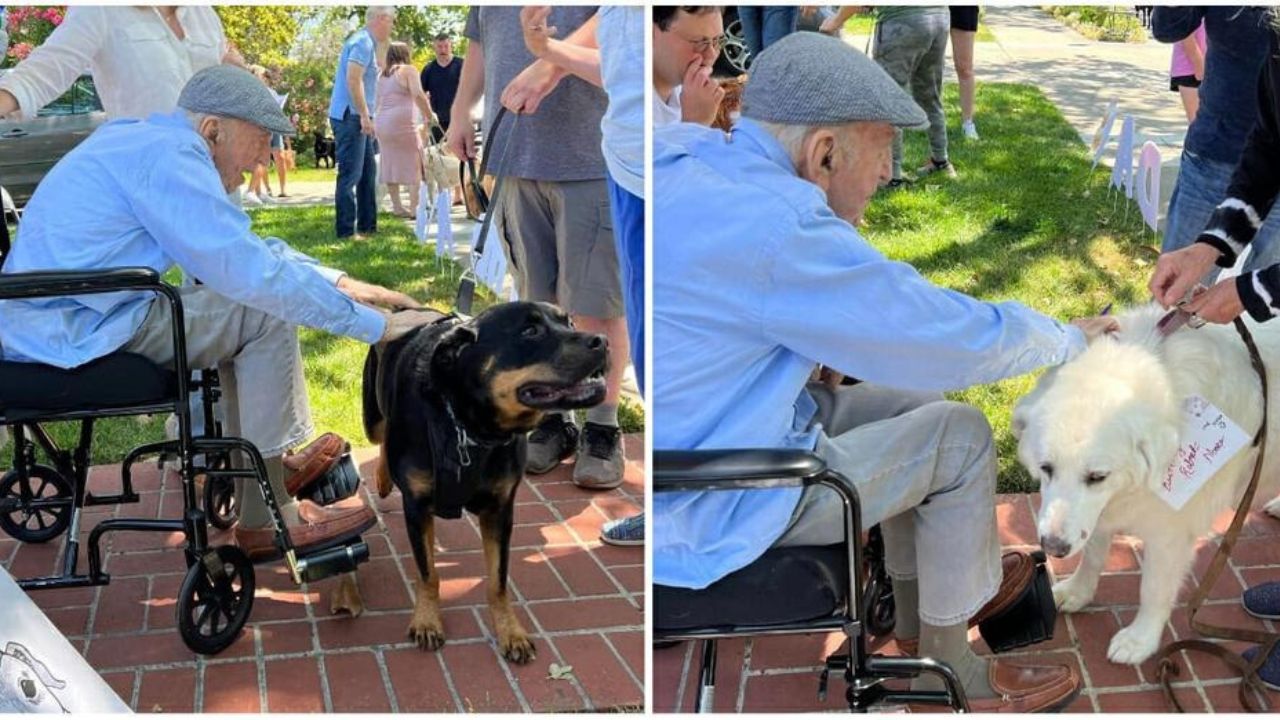 Sfilata cani per 100° compleanno