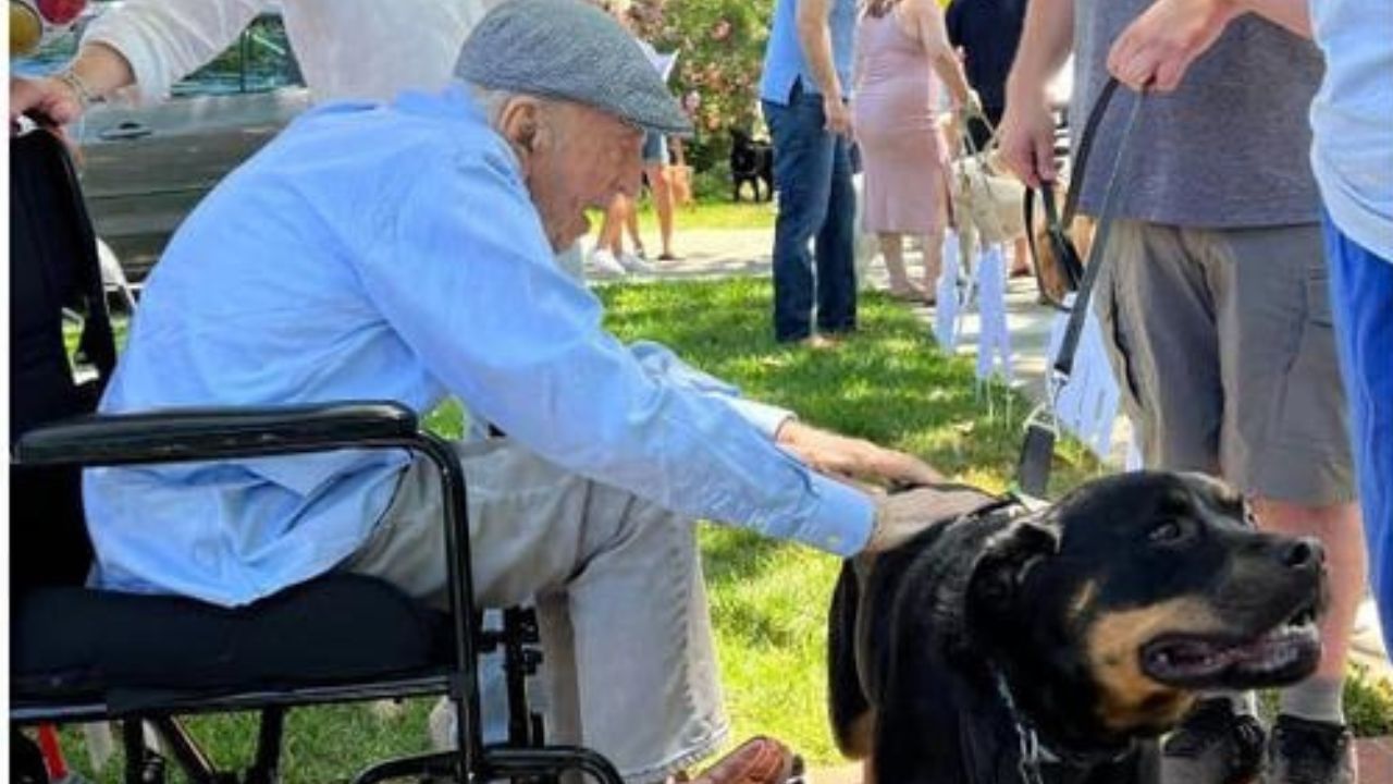 Signore anziano accarezza cane