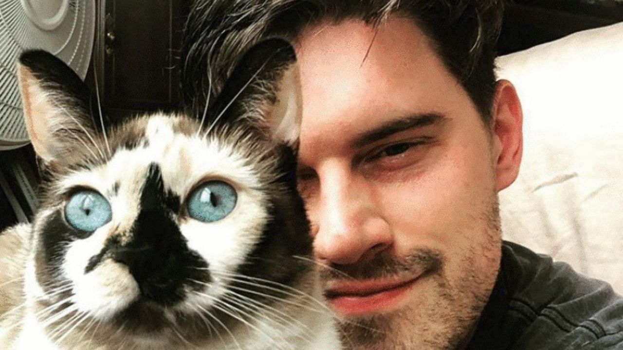 Proprietario si fa un selfie col gatto