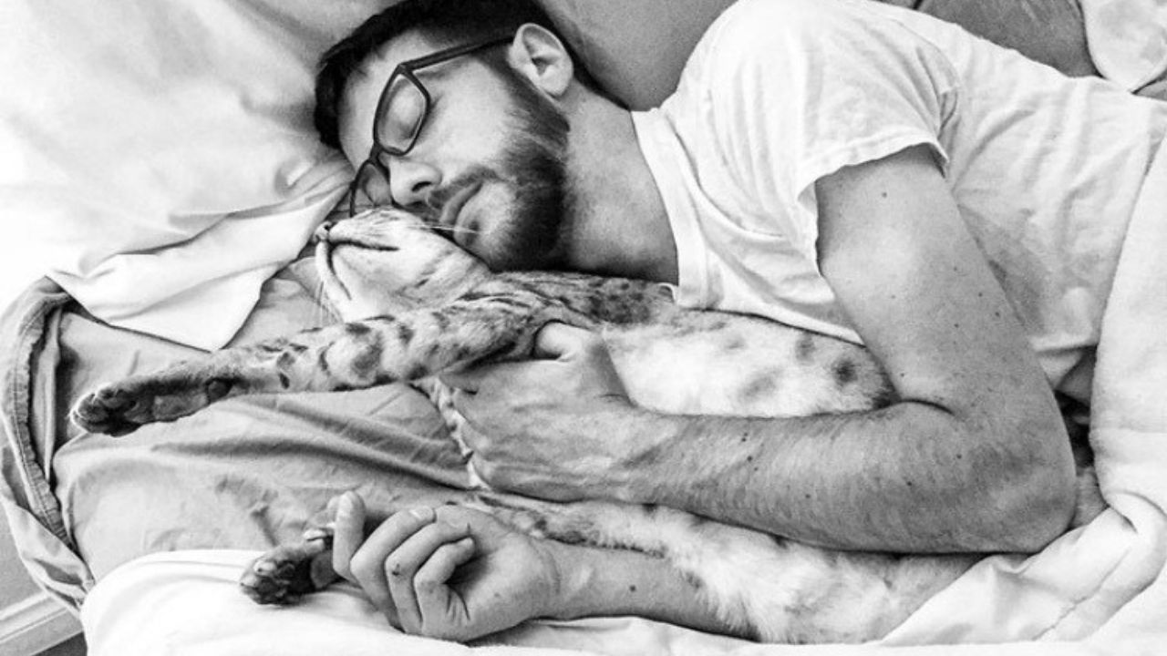 Gatto e padrone a letto