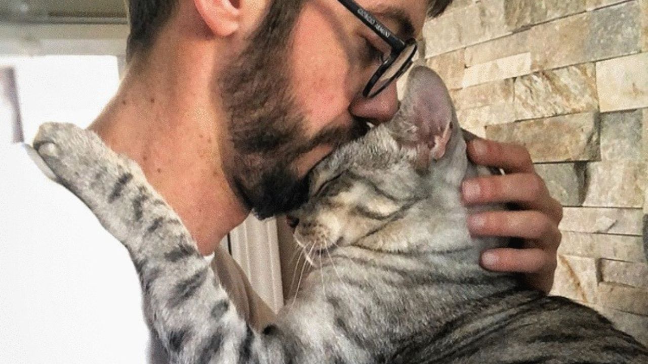 Padrone dà un bacio sulla testa al gatto