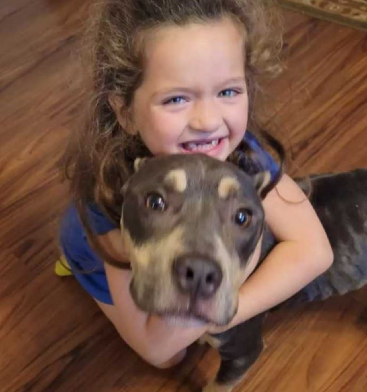 Un Pitbull con una bimba