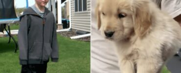 Bambino adotta un cucciolo di Golden Retriever