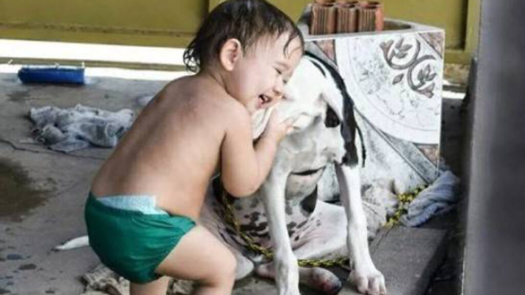 Questo bambino ha ritrovato il suo cane dopo un anno di separazione