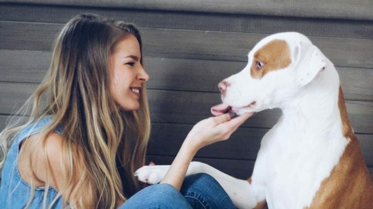 Ragazza fa le coccole al cane