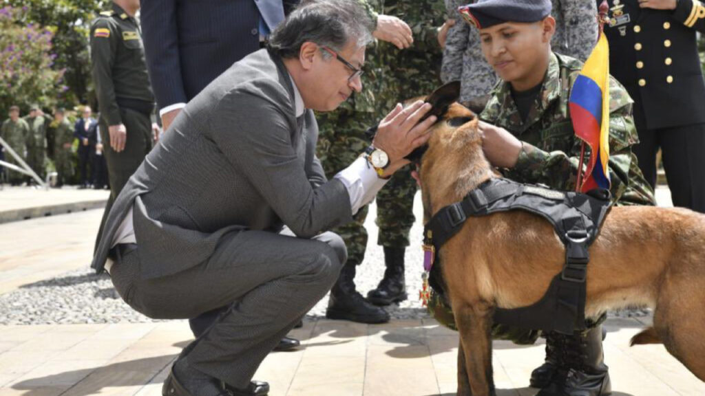 Il cane verrà ricordato per il suo grande coraggio 