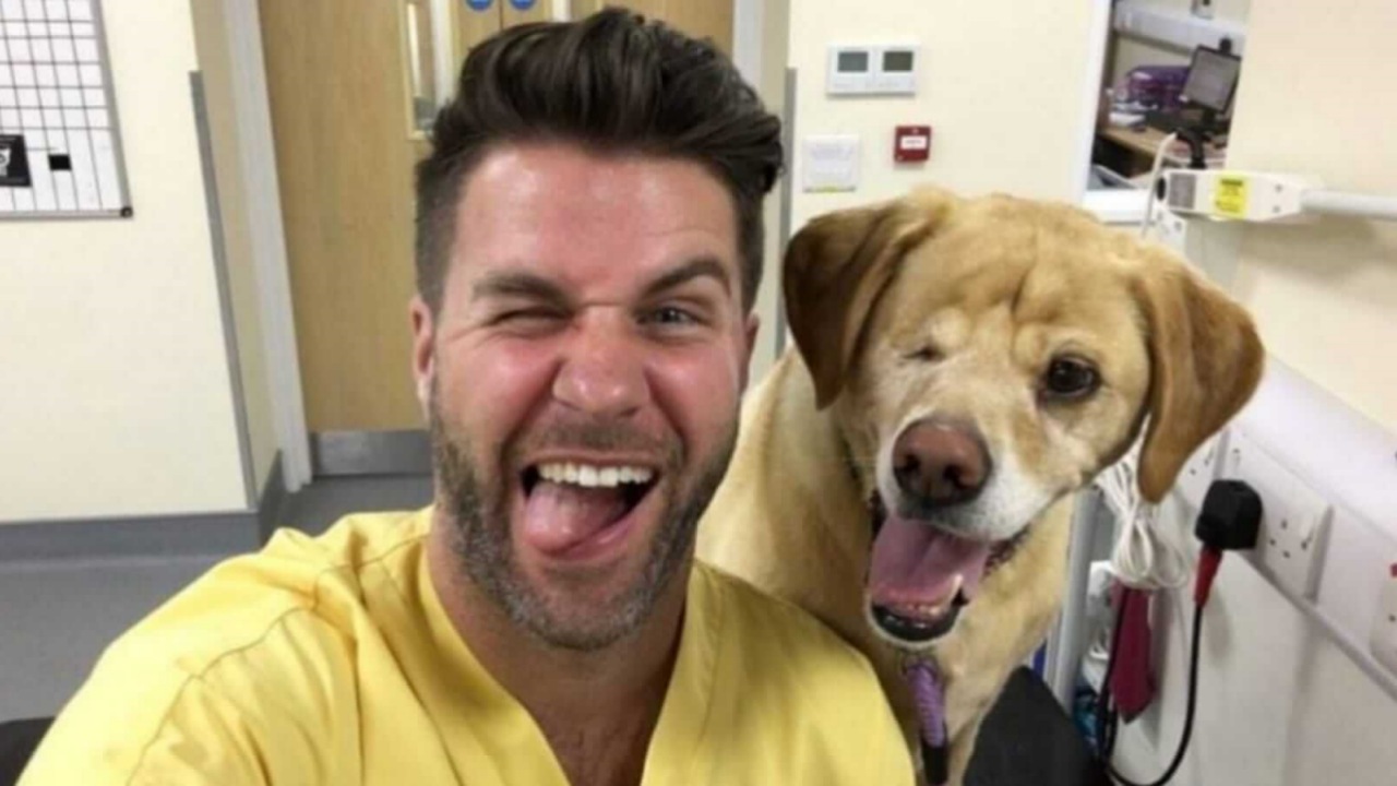 Veterinario difende il suo cane con una foto sui social