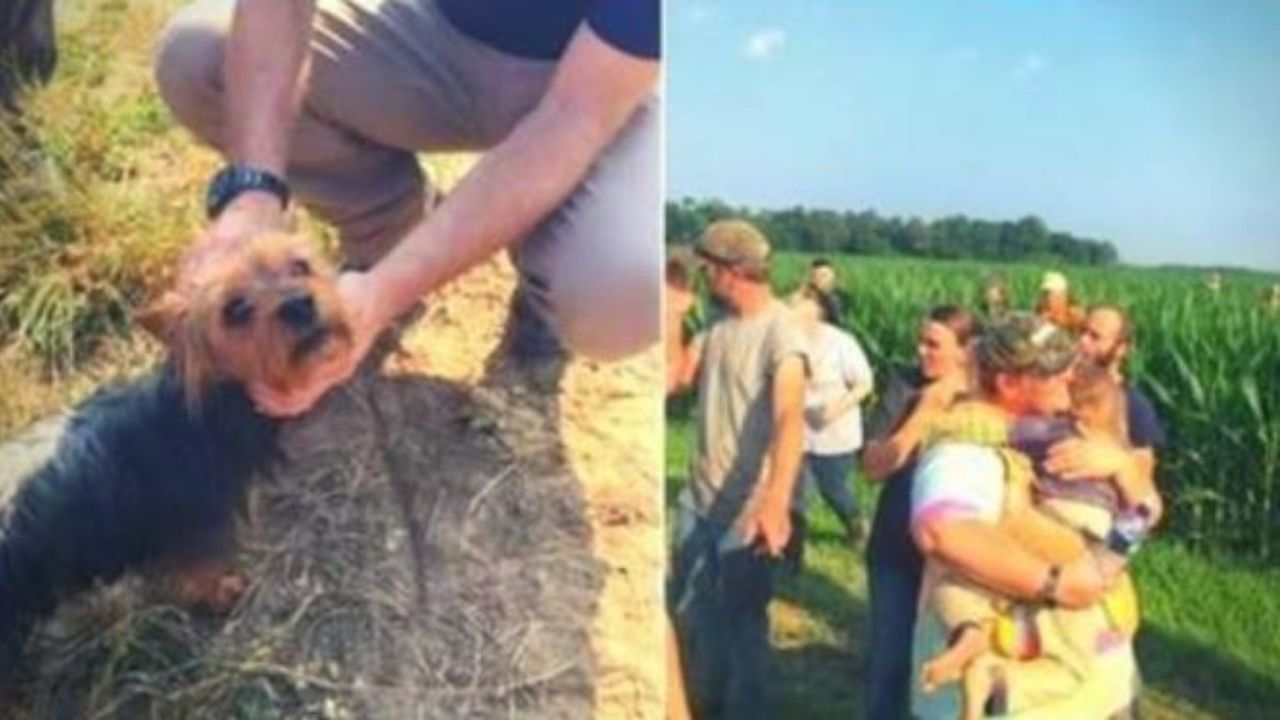 un cane che salva una bambina