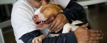 Cane si unisce in un abbraccio con il suo padrone