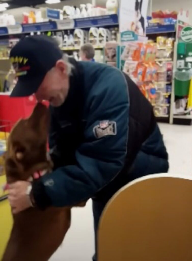 veterano di guerra ritrova i suoi cani