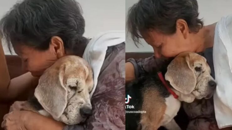 Donna dice addio al suo cagnolino e pubblica il video straziante