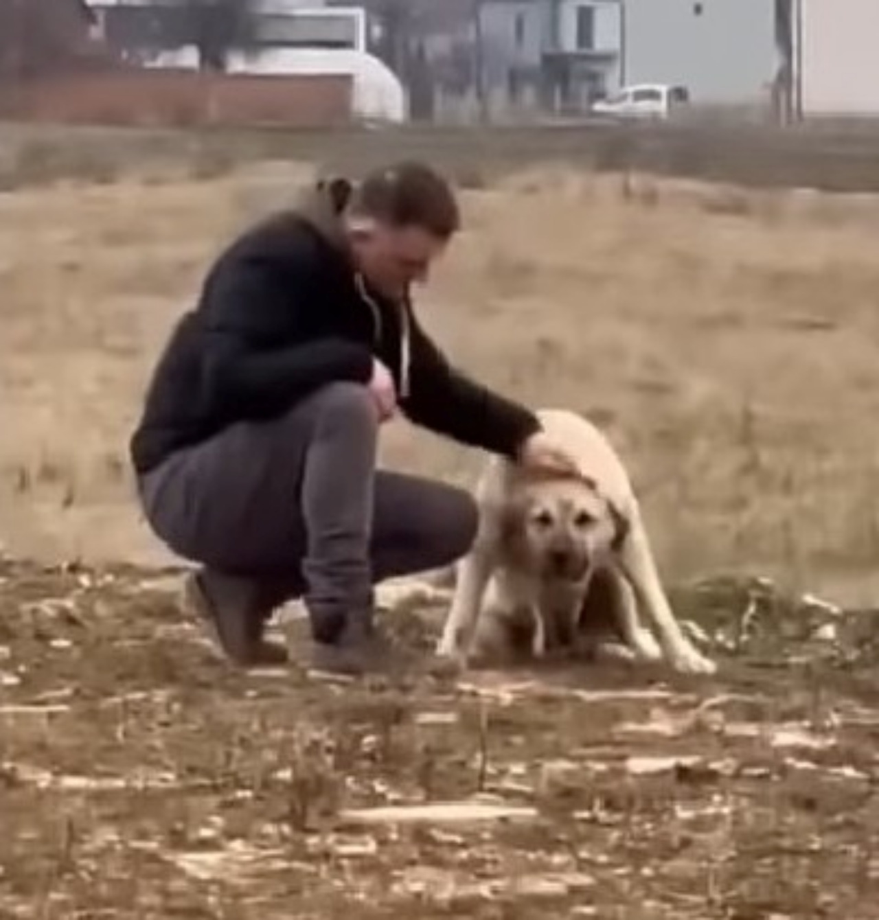 Mamma protegge cucciolo con il suo corpo