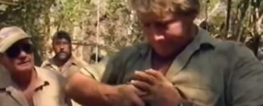 Steve Irwin con il dito rotto: il video ricompare sul web