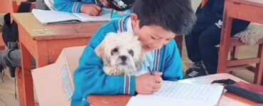 Bambino porta il cane a scuola per non lasciarlo solo