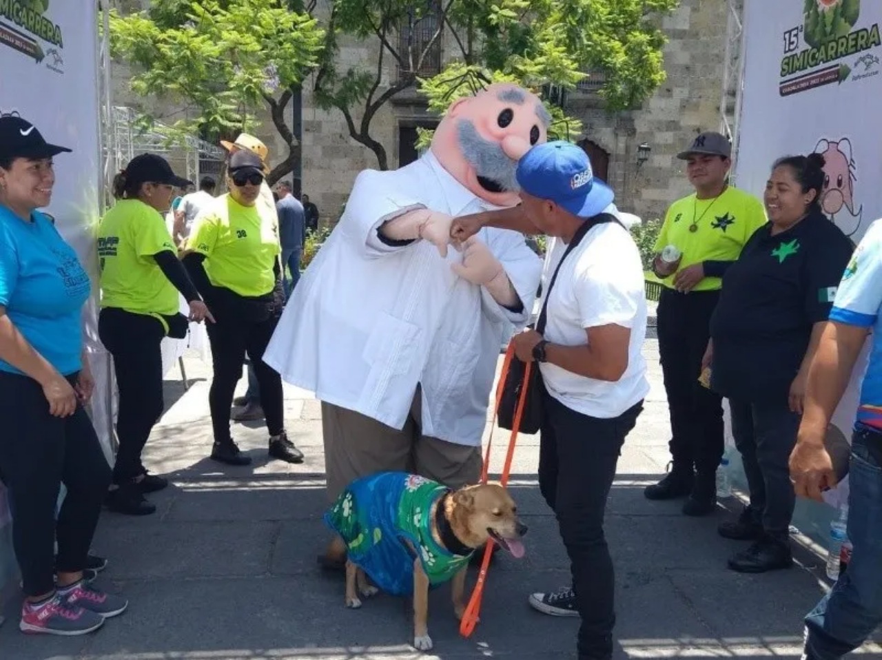 Cane atleta partecipa alla maratona