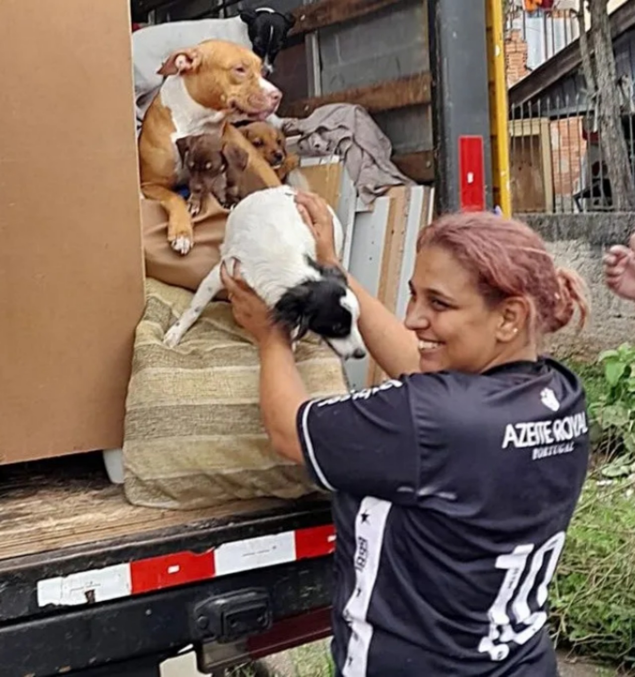 Donna fa il trasloco e porta i suoi cani