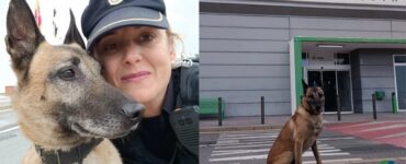 Cane ha lavorato come protettore della legge per 9 anni